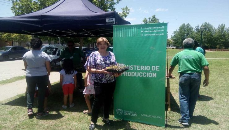 Las bandejas hortícolas llegaron a las familias mercedinas