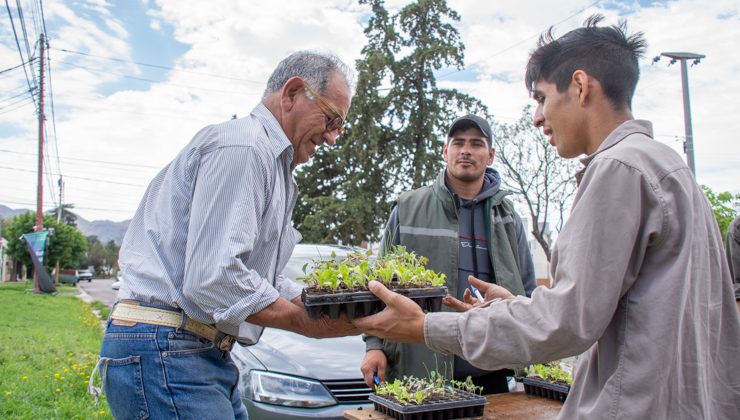 “Una familia, una huerta”: beneficiarios de Merlo recibirán la segunda parte del kit frutihortícola