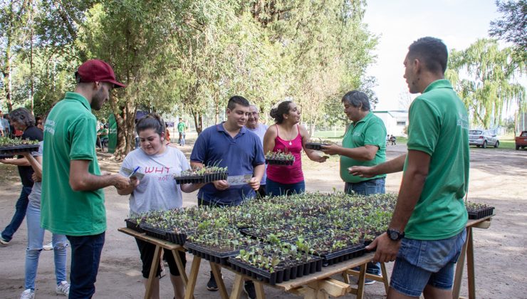 El Ministerio de Producción comienza el año con nuevas entregas de bandejas hortícolas en Villa Mercedes