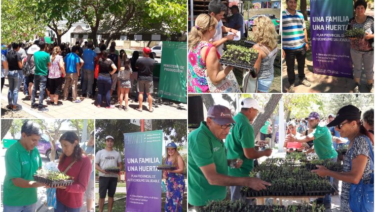 Esta semana, más de 3 mil “pequeños productores” del interior recibieron sus bandejas hortícolas