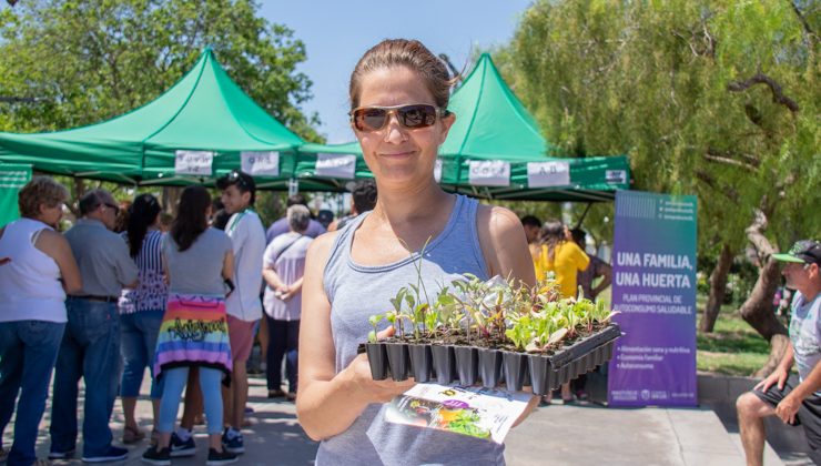 Las bandejas hortícolas llegan a los vecinos del barrio La Ribera