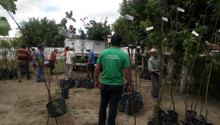 Productores del departamento Chacabuco recibieron un aporte del Gobierno provincial para aumentar su producción frutihortícola