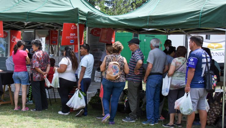 Se viene otro jueves de ofertas en carnes, verduras y productos elaborados