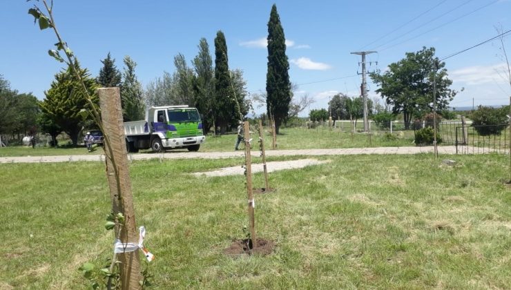 La política forestal continúa su actividad en parajes provinciales