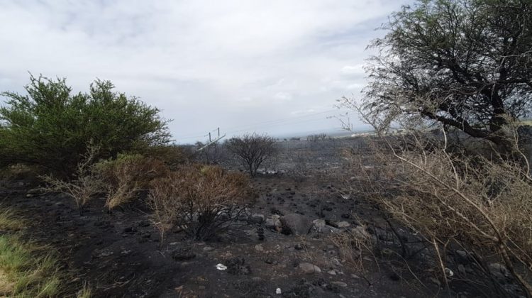 El incendio en La Punta afectó un tramo de fibra óptica