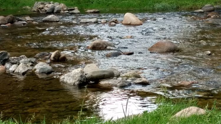 Siguen las altas temperaturas con vientos intensos del norte