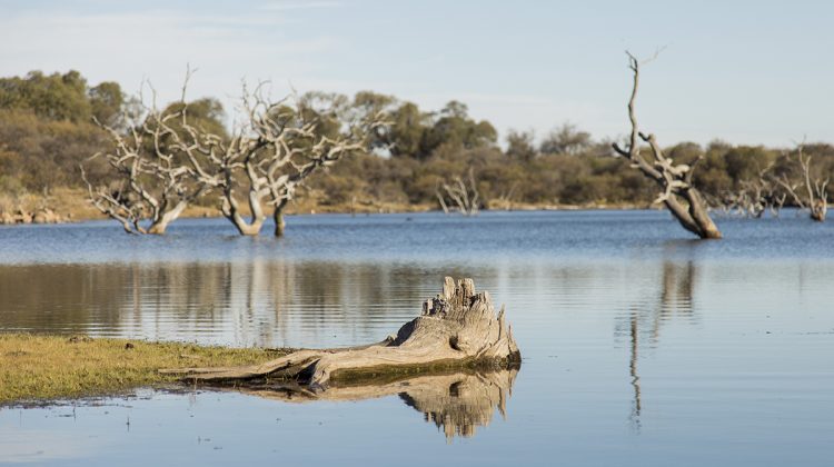 Jueves con buen tiempo y viernes caluroso, con probables lluvias