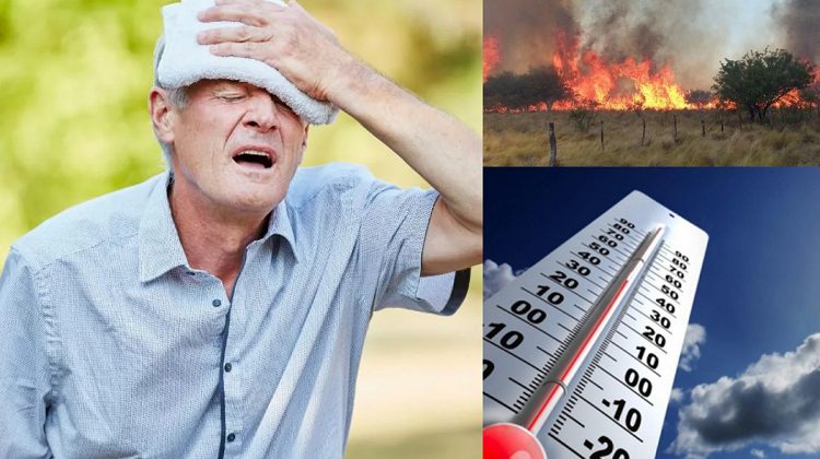 Recomendaciones para evitar golpes de calor e incendios forestales