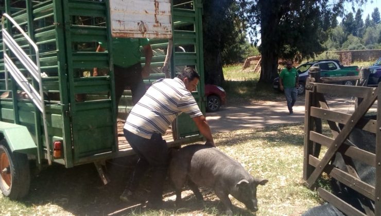 El Gobierno provincial realizó un aporte genético y hortícola a la “Escuela Agraria” de San Miguel