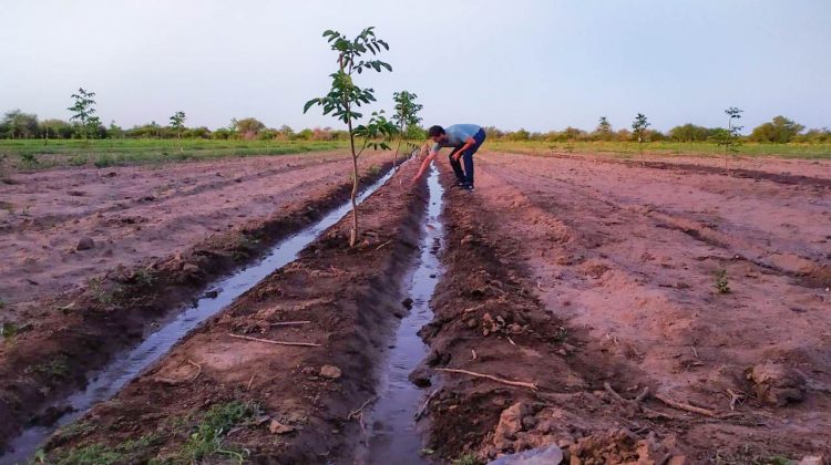 Agua y campo, juntos en la reconversión productiva de Ayacucho