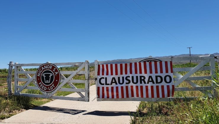 El Gobierno provincial dictó nuevamente el cese de actividades del feedlot Nicanor