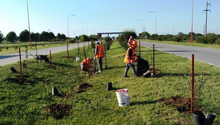 Plan de Parquización: mejoras en accesos y margenes de tres autopistas