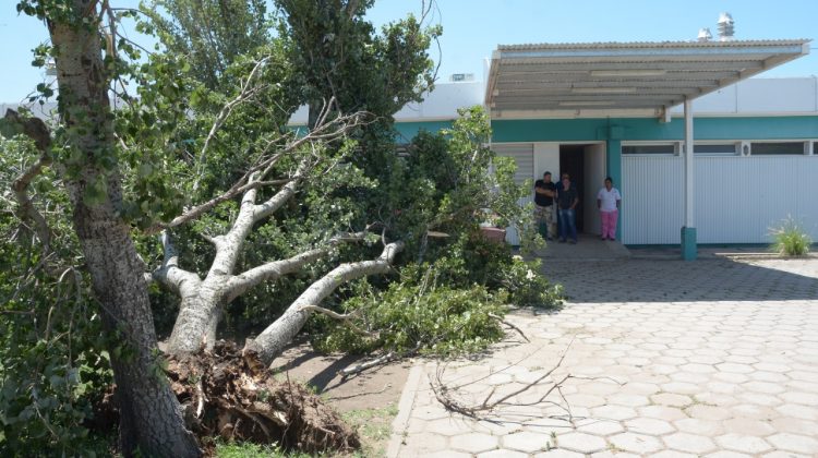 Un temporal afectó a Buena Esperanza y se trabaja para solucionar los inconvenientes ocasionados