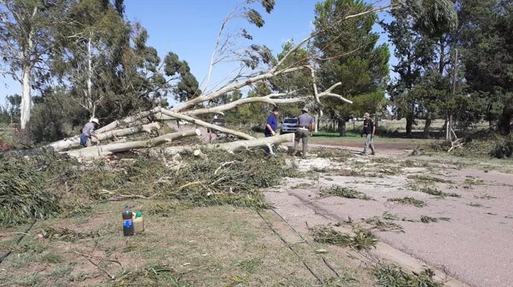 Unifican acciones en la asistencia a los vecinos de Buena Esperanza