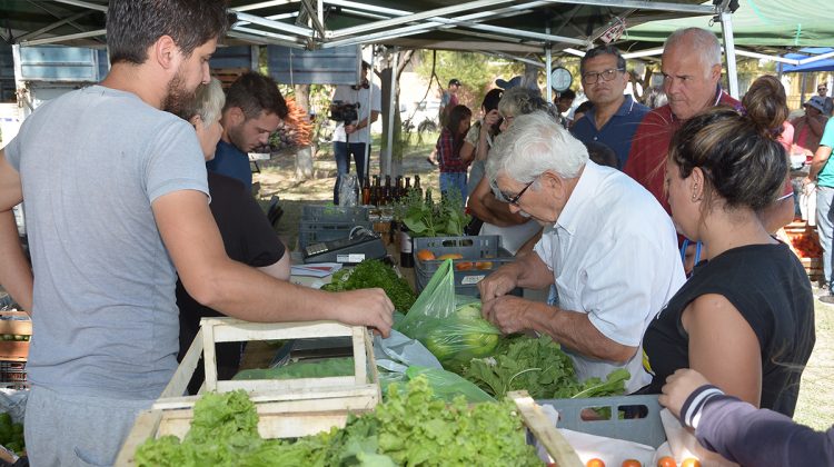 La feria de “Sol Puntano” llegó con sus ofertas a más barrios de la capital