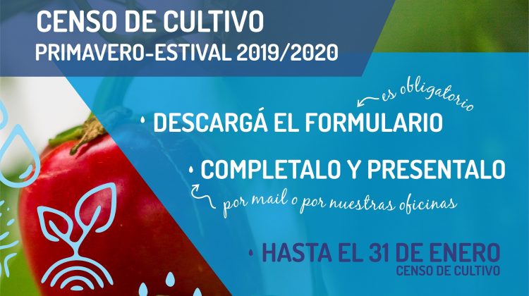 Intenciones de siembra y censo de cultivo primavero – estival 2019/ 2020 