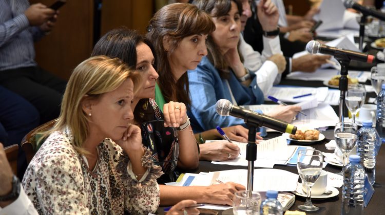 La ministra de Salud participó en la reunión de COFESA que encabezó Ginés González García