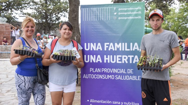 Las bandejas hortícolas llegan este miércoles a Luján