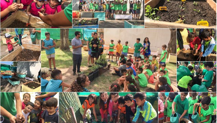 Más de 280 chicos de la colonia de vacaciones del club ASEBA aprendieron sobre huertas agroecológicas