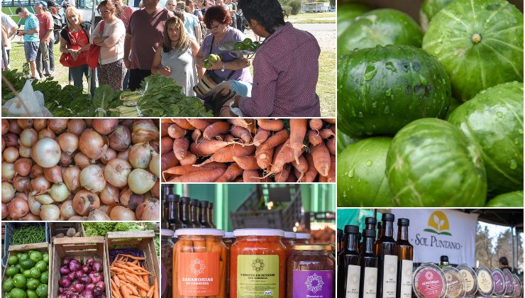 Con productos frescos, de calidad y a precios accesibles, la feria itinerante de “Sol Puntano” vuelve al ruedo