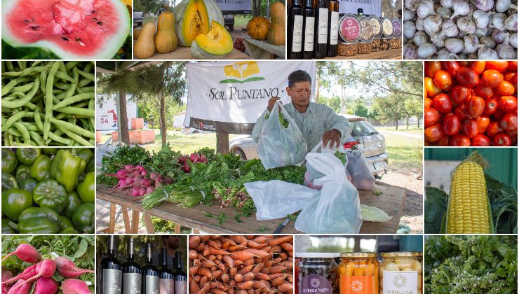 Con frutas, verduras de estación y productos envasados elaborados en San Luis, llega este jueves una nueva Feria de Sol Puntano