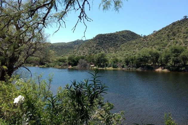 Mucho calor: este miércoles se registrarán temperaturas máximas de 36°C