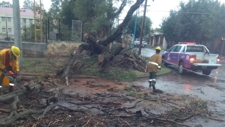 Tras el temporal, San Luis Solidario trabaja en Villa Mercedes con la Intendencia y Defensa Civil