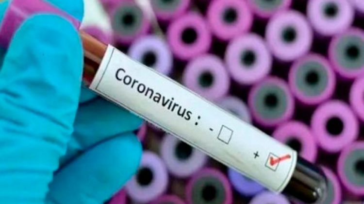 Coronavirus: el riesgo inmediato para la población argentina se considera bajo