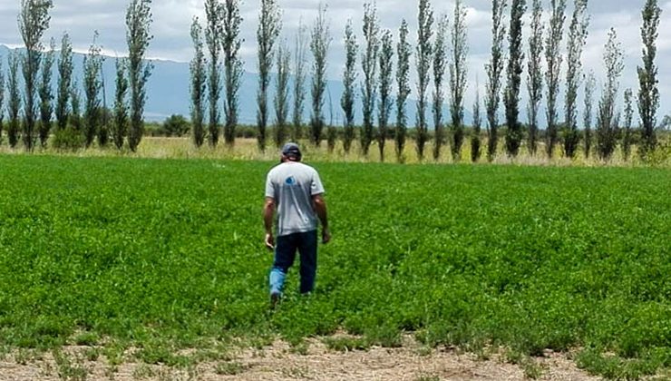 San Luis Agua abrió el plazo para presentar intenciones de siembra y censo de cultivo otoño-invernal 2020