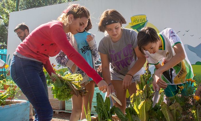 Alumnos y profesores de la colonia de vacaciones cosecharon las primeras verduras de la huerta agroecológica