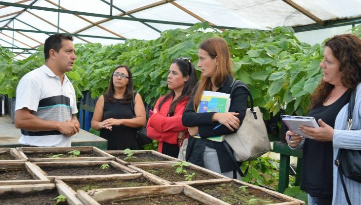 Funcionarios de la Municipalidad de La Paz recorrieron el Vivero Forestal de San Luis