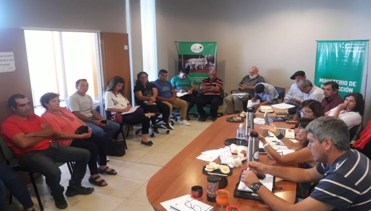 La Unidad Ejecutora Provincial (UEP) caprina y ovina tuvo su primera reunión del año