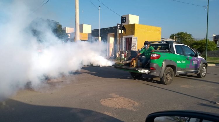 El Gobierno provincial reforzó las tareas de fumigación