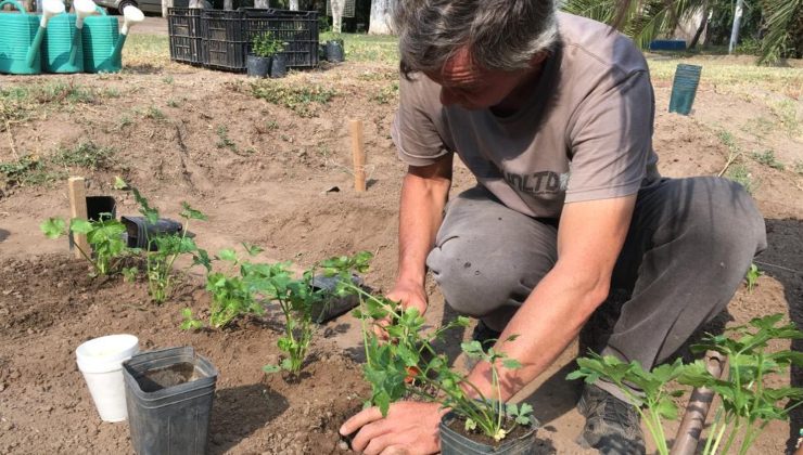 Capacitaron y armaron huertas agroecológicas en dos instituciones 