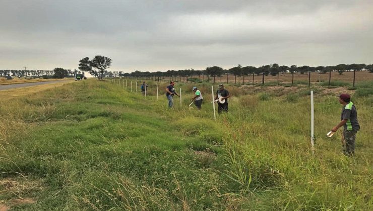 Cuenca del Morro: forestación y compromiso ambiental para mitigar el desbalance hídrico