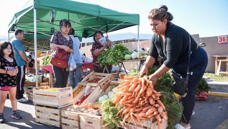 Gran cantidad de personas se acercaron hasta la EDIRO y aprovecharon las ofertas de Sol Puntano