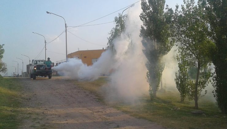 Continúan las fumigaciones preventivas contra el Dengue en toda la provincia