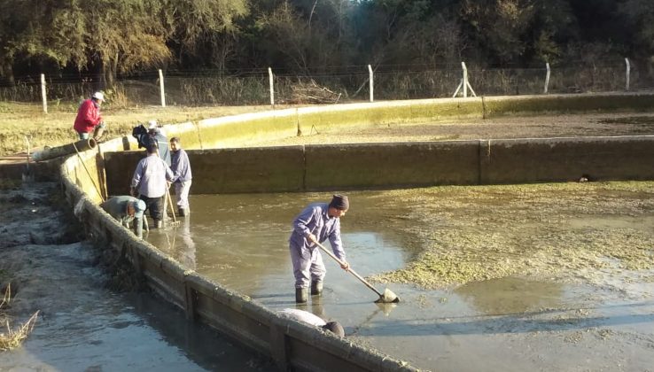 Cortarán por 12 horas el servicio del acueducto Socoscora