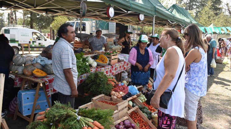 La feria itinerante de Sol Puntano se presentará martes y sábado