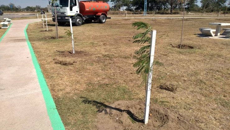 El Gobierno provincial embellece con árboles la Plaza de las Mujeres