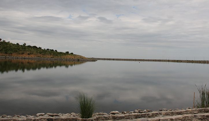 Las lluvias no paran: anuncian otra jornada inestable en toda la provincia