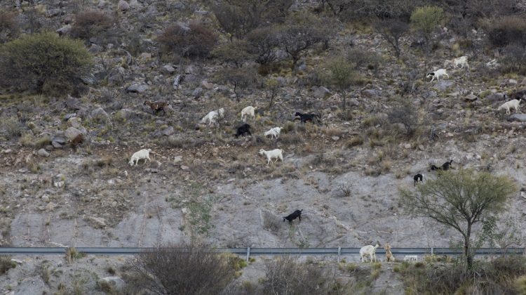 El fin de semana comienza a retirarse el frío