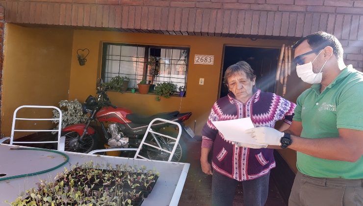 Sol Puntano realizó la primera tanda de entrega a domicilio de plantines