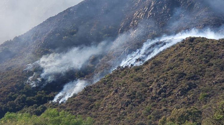 Con tres frentes de trabajo, bomberos y brigadistas intentan controlar un incendio