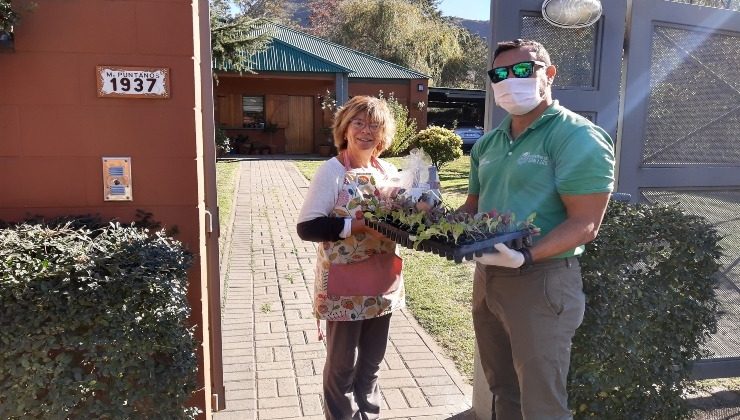 En la primera semana, Sol Puntano vendió más de 250 bandejas de plantines