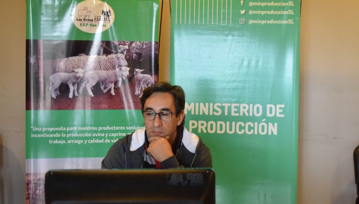 Se realizó la segunda reunión virtual de la Unidad Ejecutora Provincial (UEP) San Luis