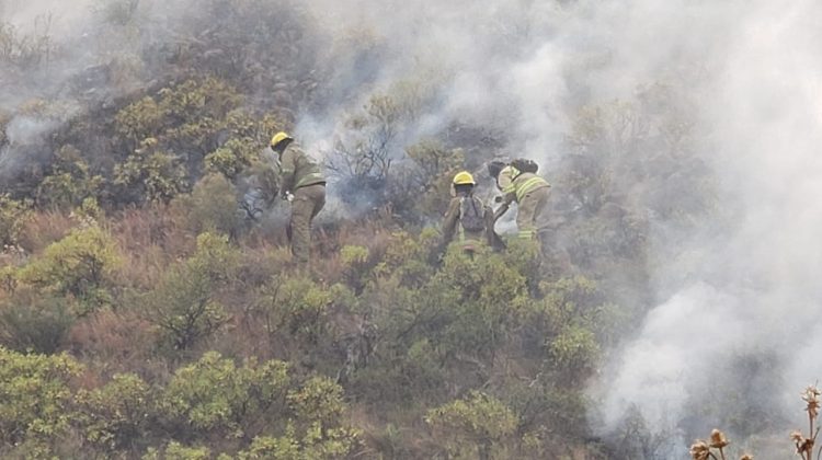 Bomberos, brigadistas y aviones combaten el incendio entre Potrero de los Funes y La Punta