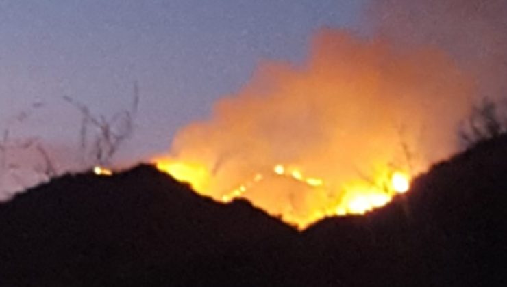 Combaten un incendio en la zona aledaña al dique La Estrechura