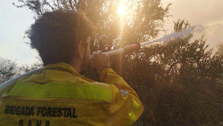 Prevenir incendios, una responsabilidad de todos