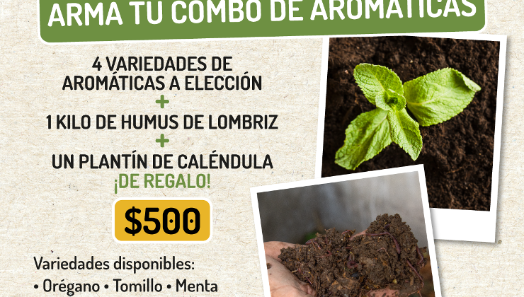 Las plantas aromáticas y el humus orgánico se suman a las ofertas de Sol Puntano